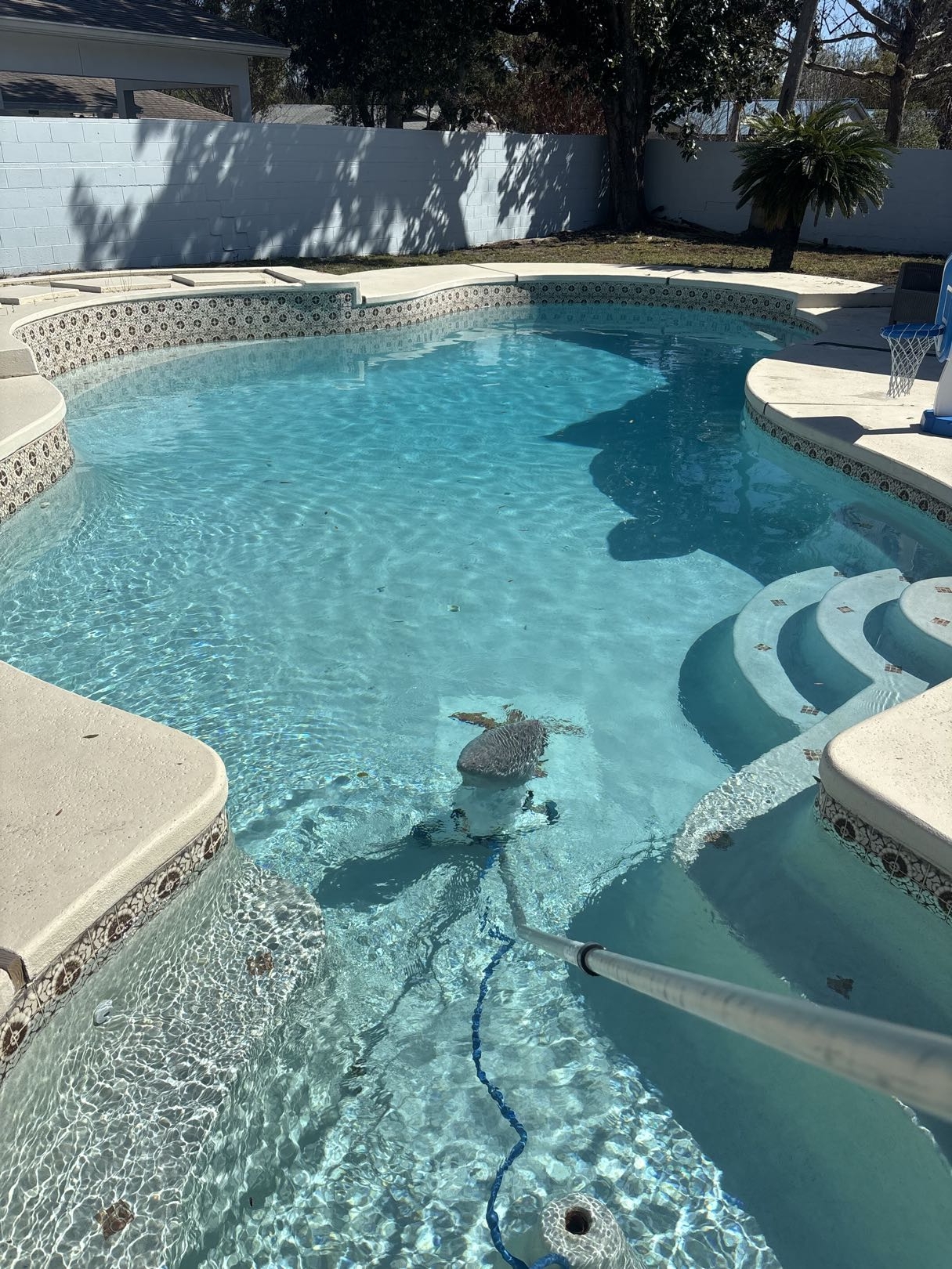 Crystal clear pool